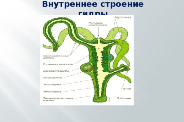 Mega sb tor