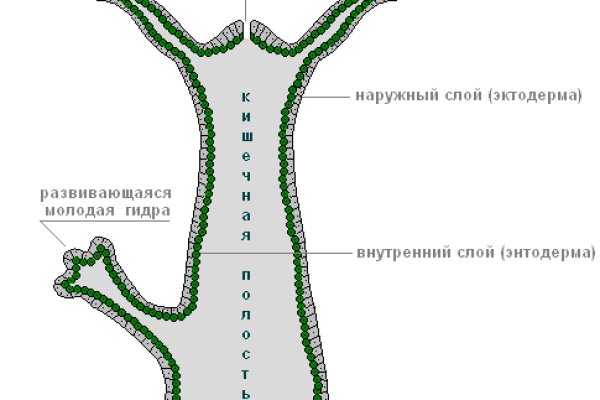 Омг купить наркотики