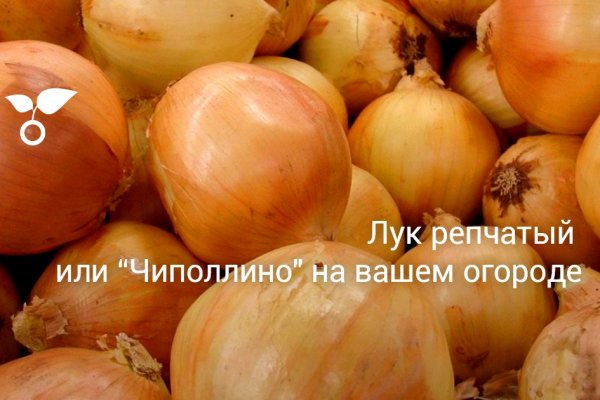 Сайт продажи нарко веществ кракен