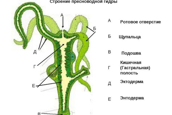 Знак омг даркнет