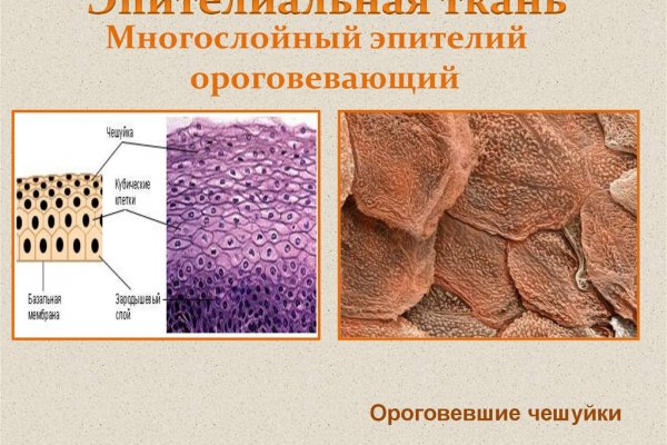 Как зайти на сайт блэкспрут с телефона